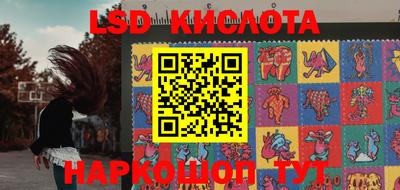 стафф Тара