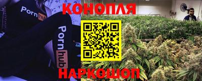 МДПВ Татарск