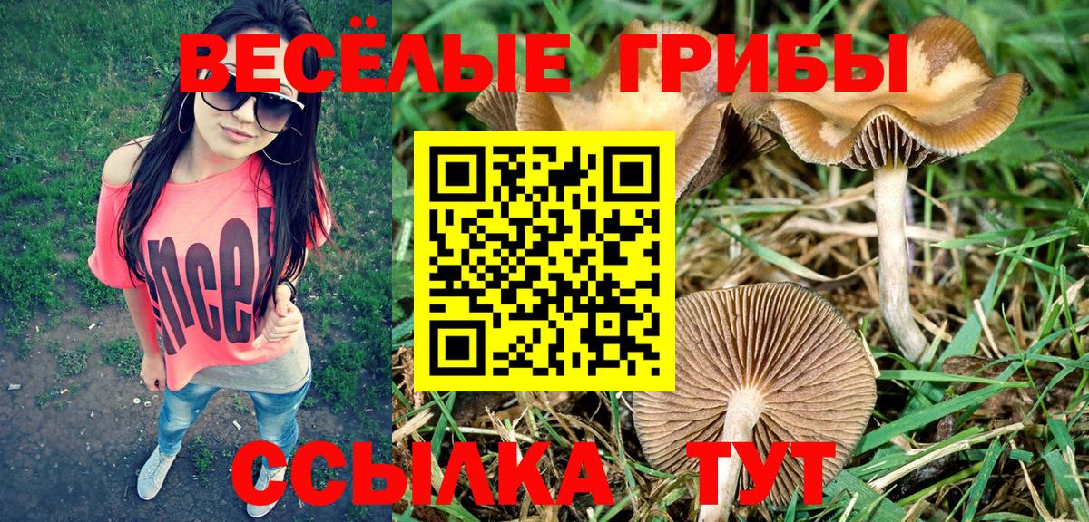 Галлюциногенные грибы мицелий Ачинск