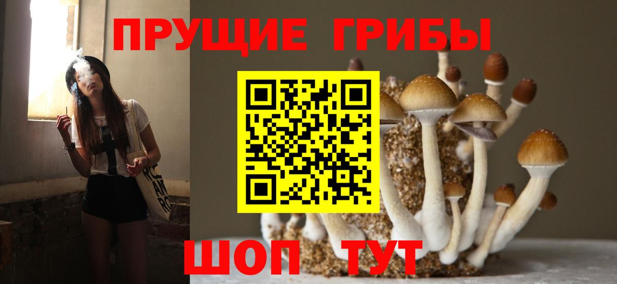 Ачинск  Псилоцибиновые грибы ЛСД  Галлюциногенные грибы GOLDEN TEACHER  Вход с VPN 